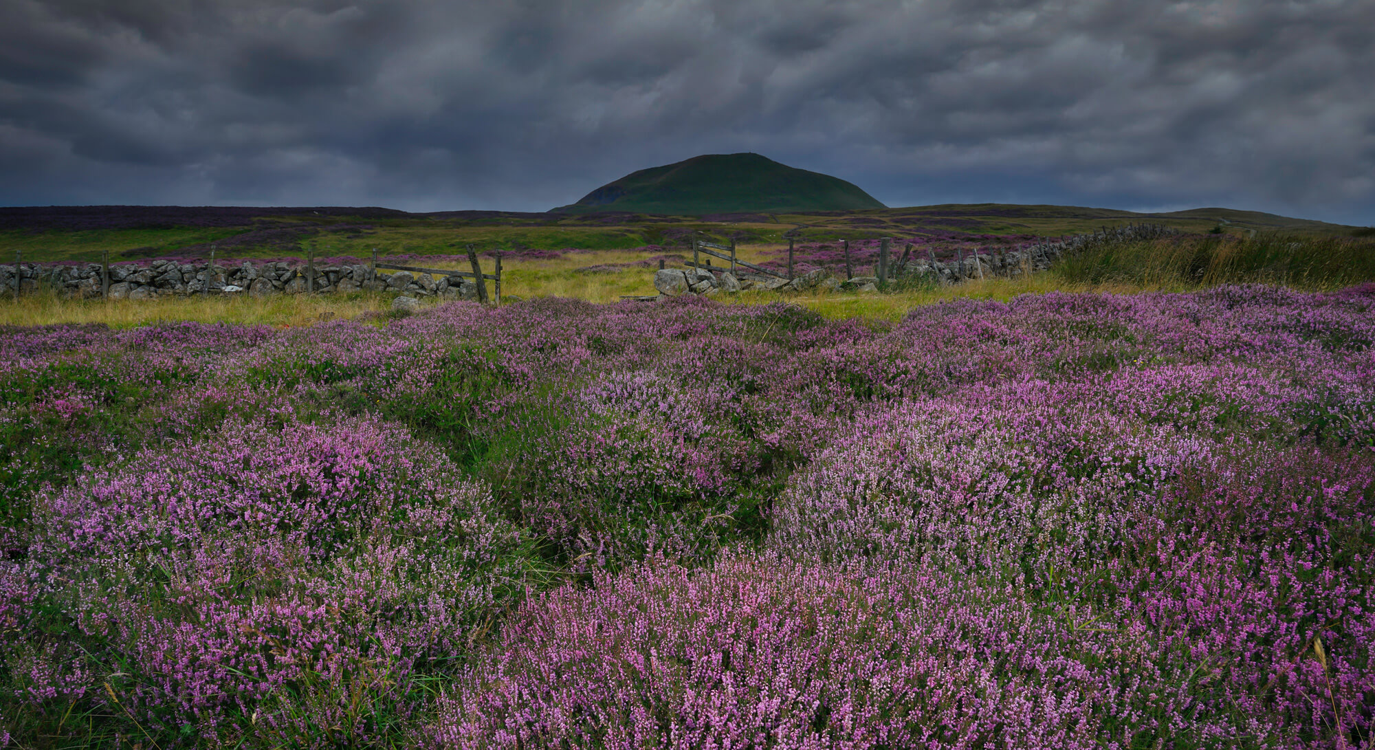 History of Leslie House